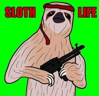 Sloths