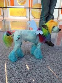 My Little Pony: Friendship is Magic