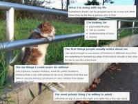 OKCupid