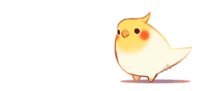 Cute Animals