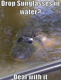 Deal With It