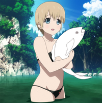 Sakurafish / Every Day Until You Like It