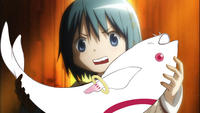 Sakurafish / Every Day Until You Like It