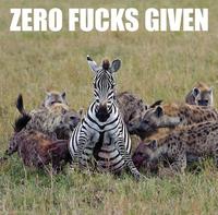 Look At All The Fucks I Give