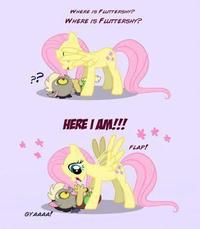My Little Pony: Friendship is Magic