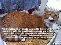 Mylo the Cat