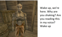 The Elder Scrolls