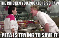 Gordon Ramsay