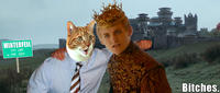 Mylo the Cat