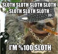 Sloths