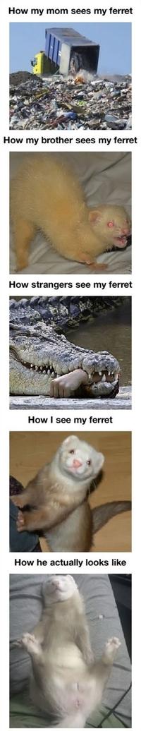 What People Think I Do / What I Really Do