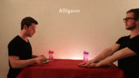 How Animals Eat Their Food