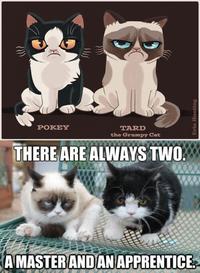 Grumpy Cat