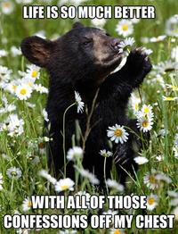 Confession Bear