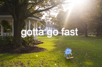 Gotta Go Fast