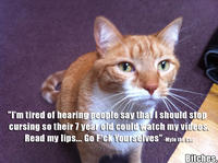 Mylo the Cat