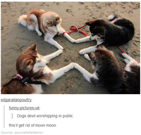 Moon Moon