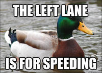 Actual Advice Mallard