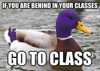 Actual Advice Mallard