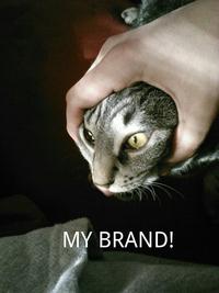My Brand