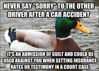 Actual Advice Mallard