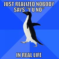Socially Awkward Penguin