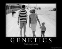 Demotivational Posters