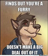Furries