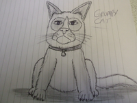 Grumpy Cat