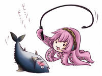 Tako Luka