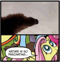 My Little Pony: Friendship is Magic