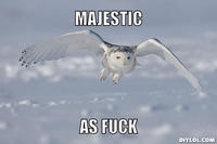 Majestic as Fuck