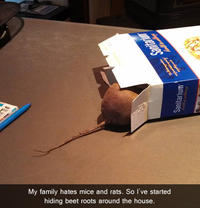 Trolling