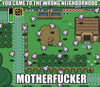 You Came to the Wrong Neighborhood