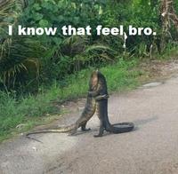 I Know That Feel Bro