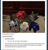 Cats