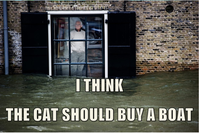 I Should Buy a Boat Cat