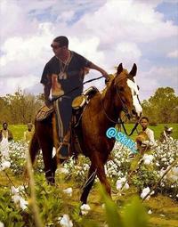 Drake in Dada / Drake Lean
