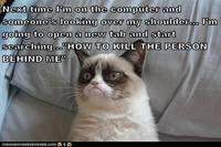 Grumpy Cat
