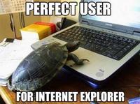 Internet Explorer