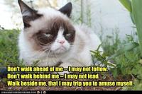 Grumpy Cat