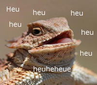Huahuehuahue