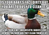 Actual Advice Mallard