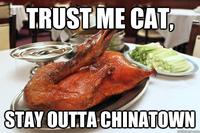 Actual Advice Mallard