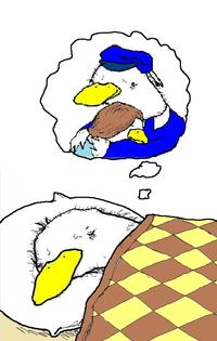 Dolan