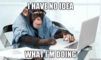 I Have No Idea What I'm Doing