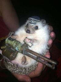 803