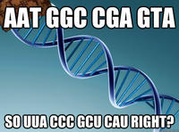 Scumbag DNA