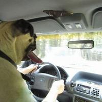 Perfectly Timed Photos