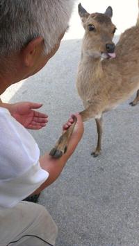 Cute Animals
